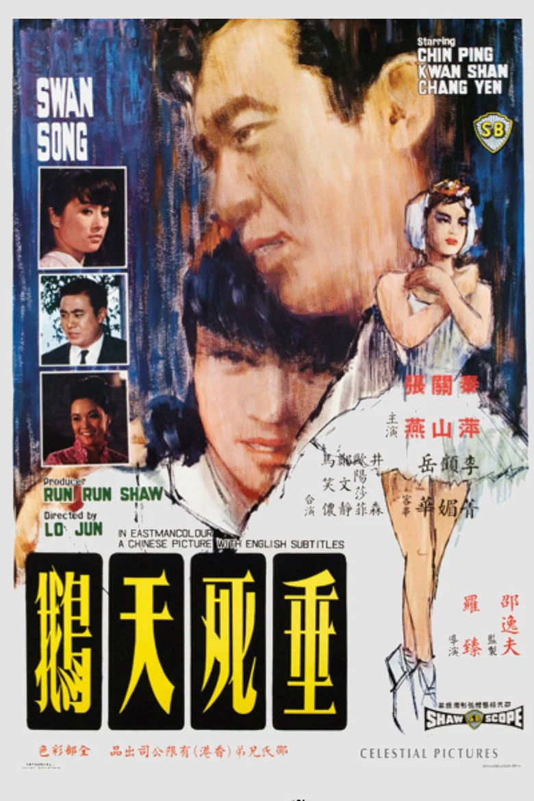 帖子封面