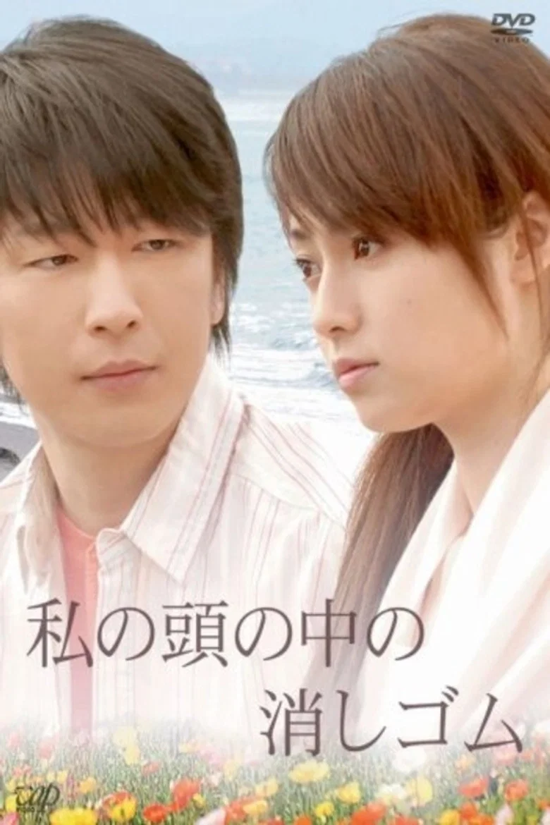 我脑中的橡皮擦 (2007) (私の頭の中の消しゴム)-光鸭·臻影社