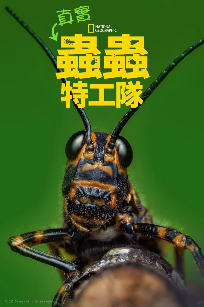 帖子封面