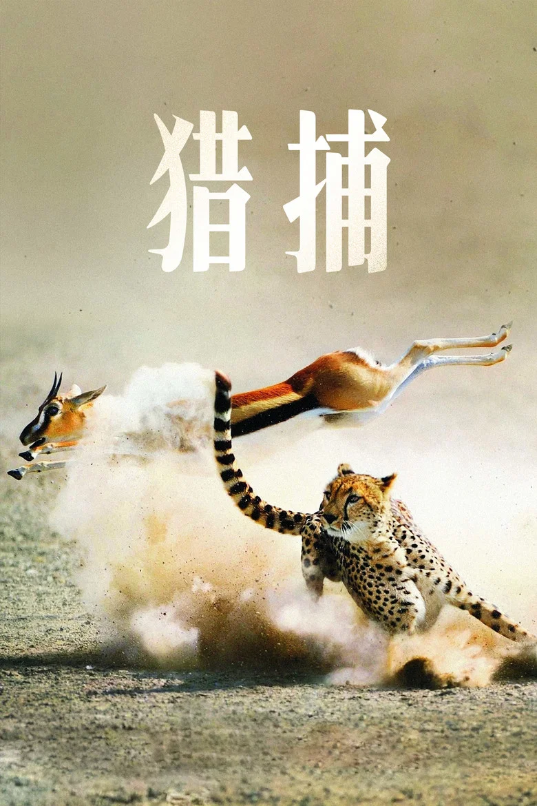 帖子封面