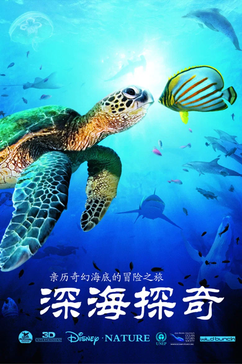 帖子封面