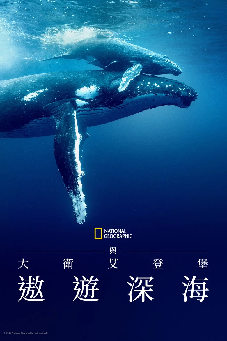 大卫·爱登堡：海洋 (2025) (Ocean with David Attenborough)-光鸭·臻影社