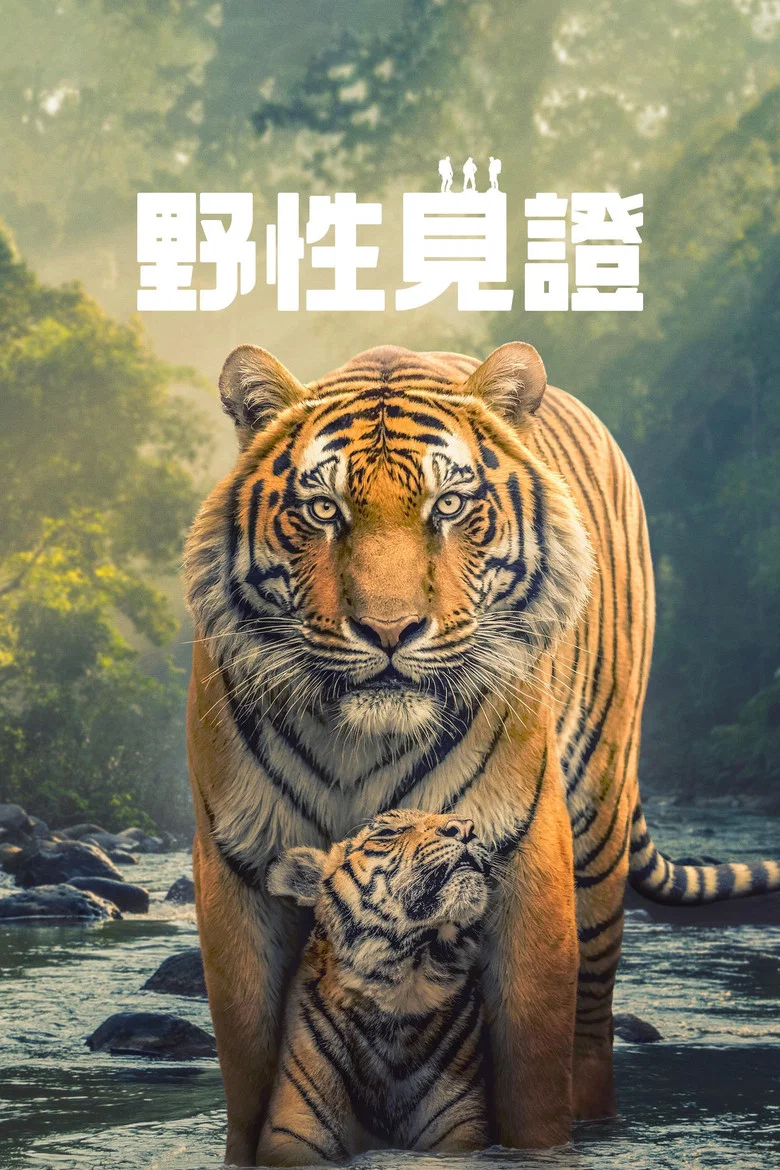 帖子封面