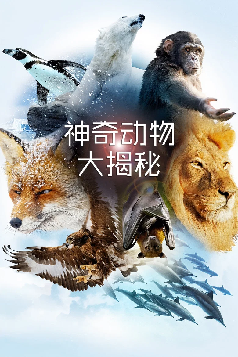 帖子封面