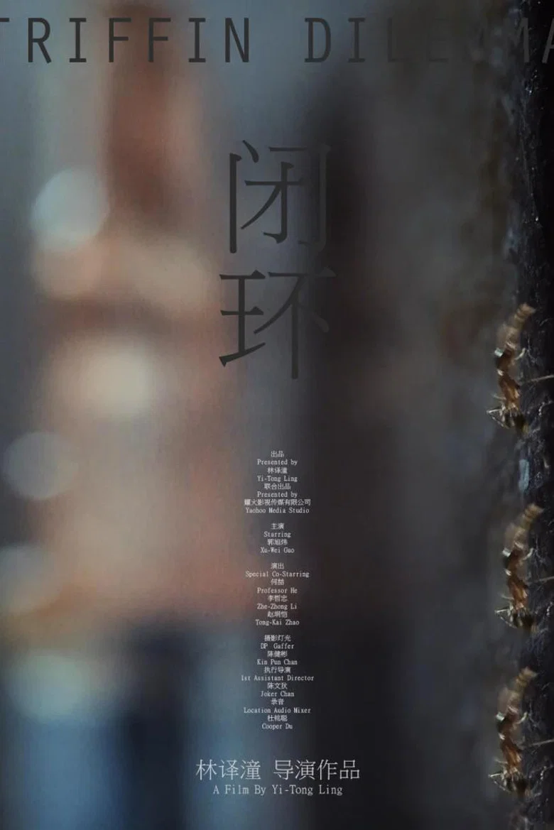 帖子封面