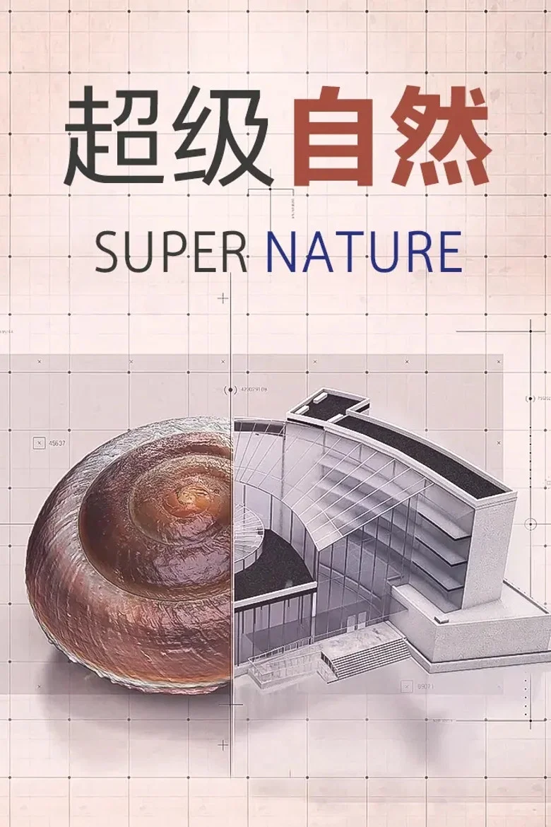 帖子封面
