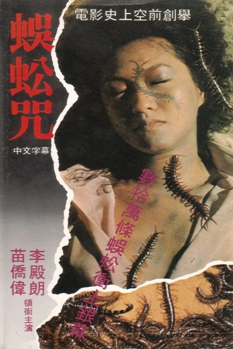 帖子封面