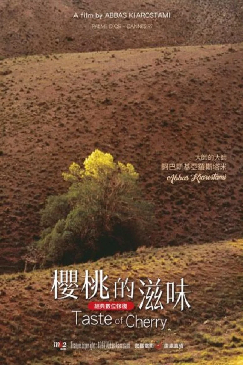 帖子封面
