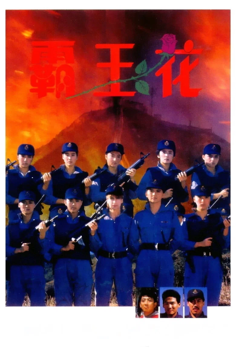 帖子封面