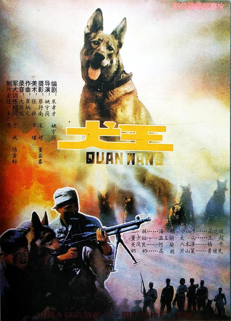 帖子封面