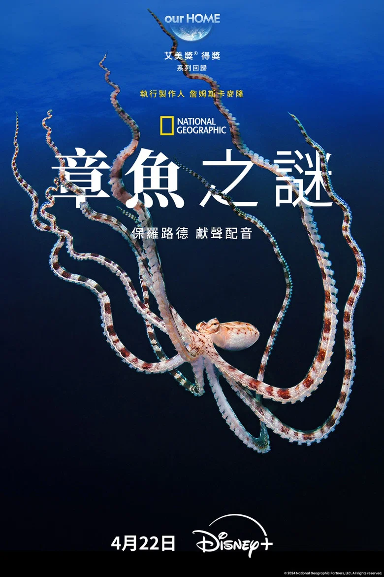 帖子封面