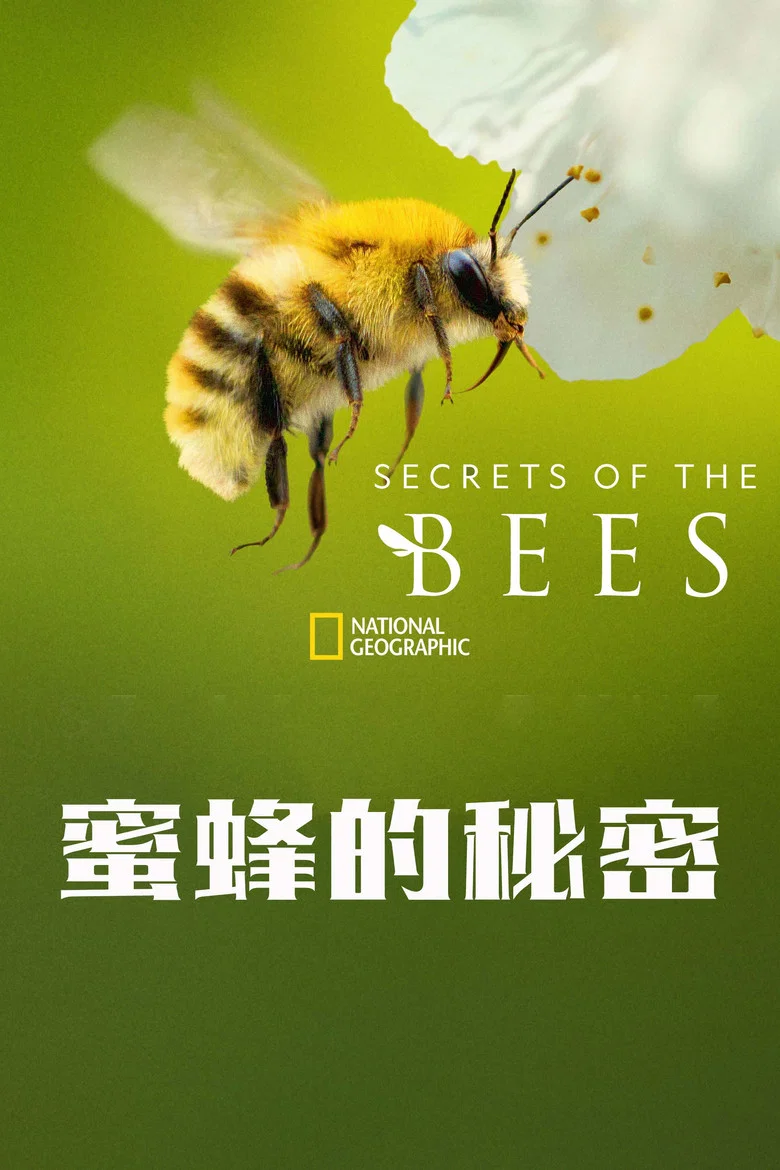 帖子封面