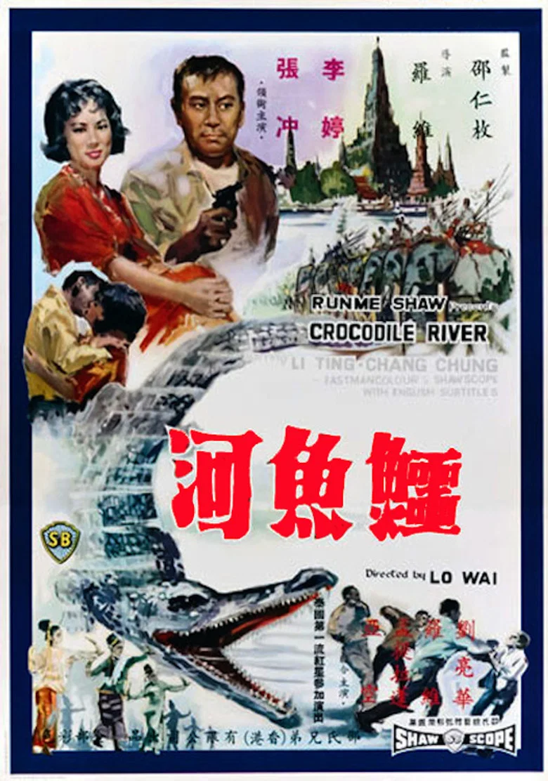 帖子封面
