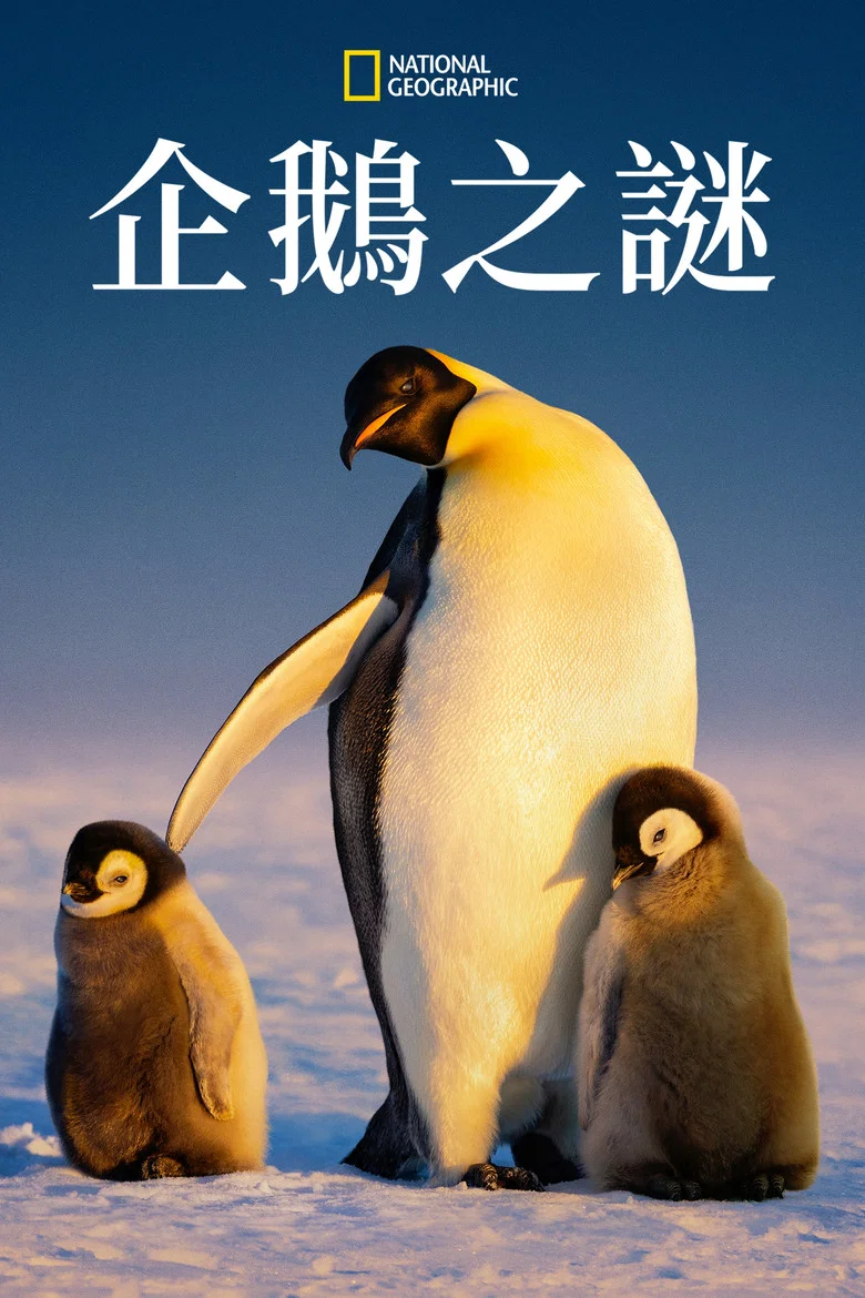 帖子封面