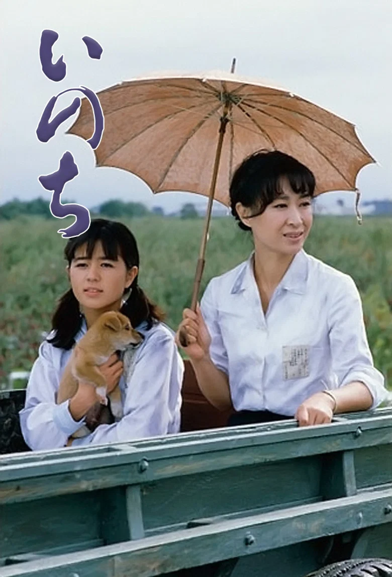 帖子封面