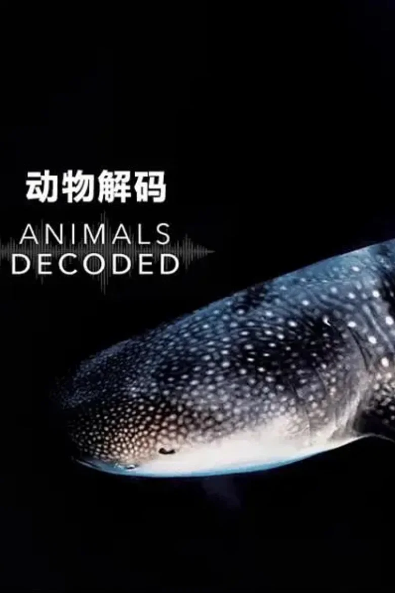 帖子封面