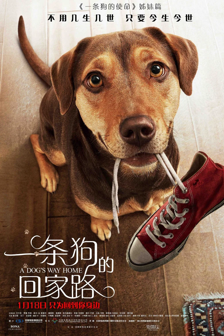 帖子封面