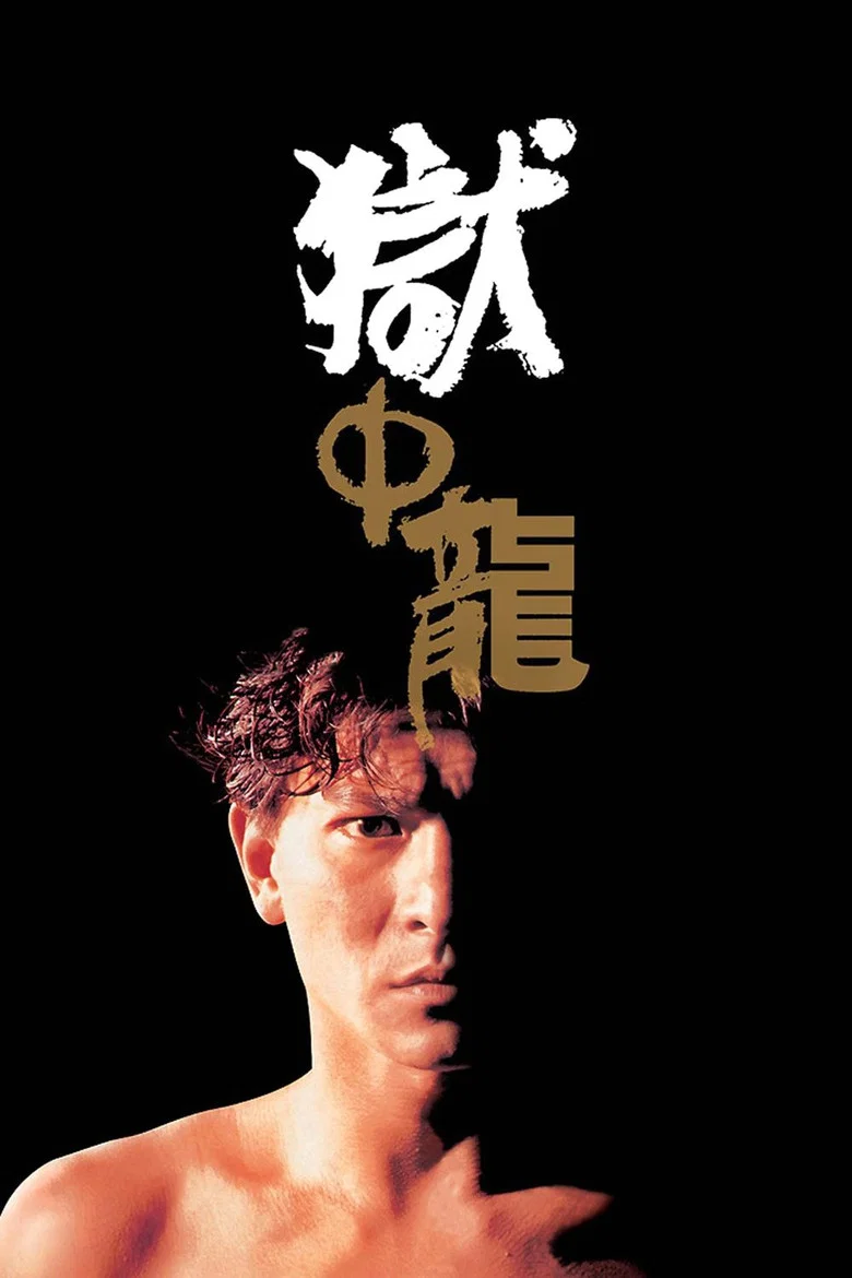 帖子封面