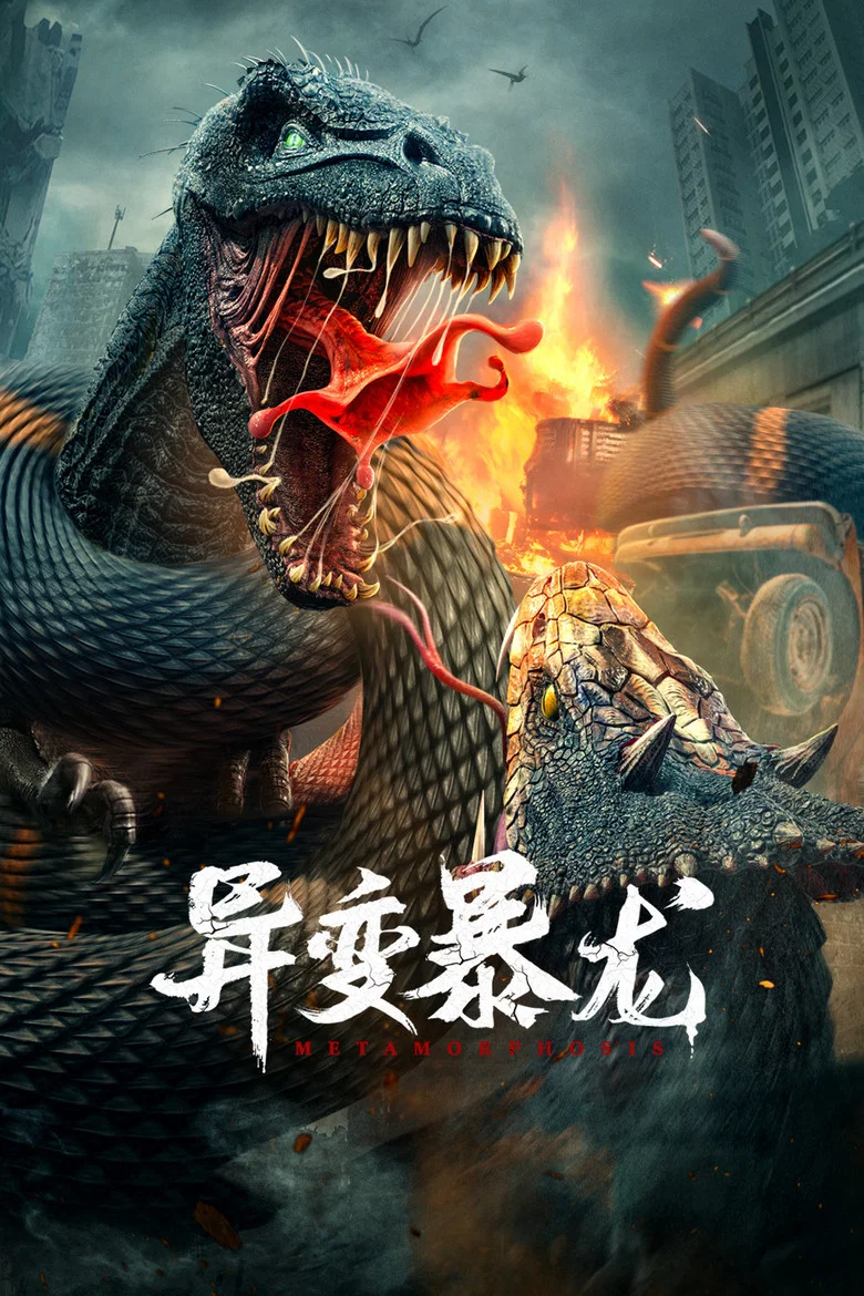 帖子封面