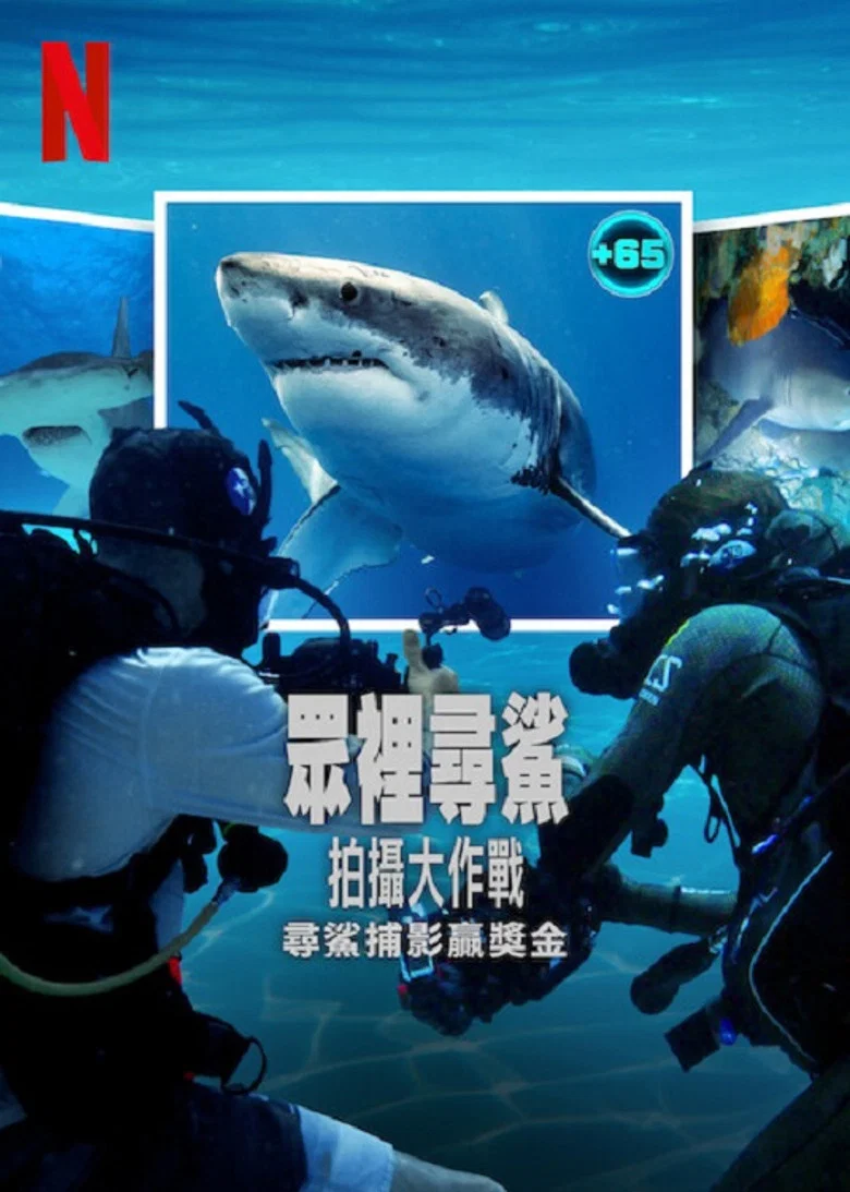 帖子封面