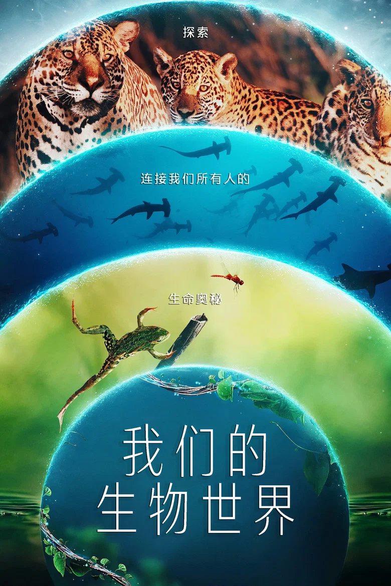 帖子封面