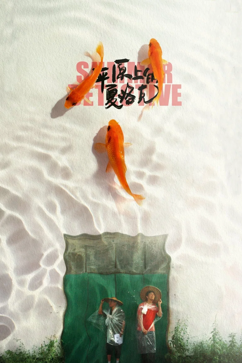帖子封面