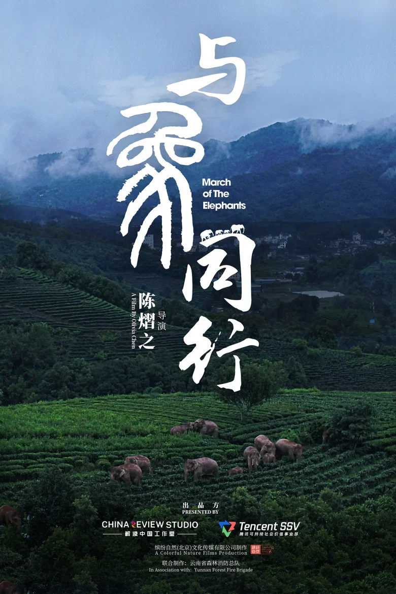 帖子封面
