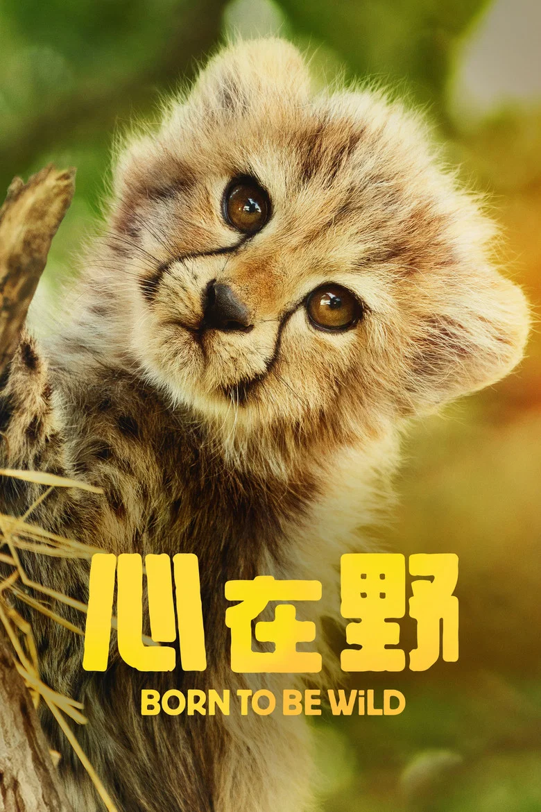 帖子封面
