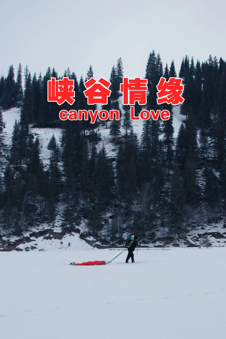 帖子封面
