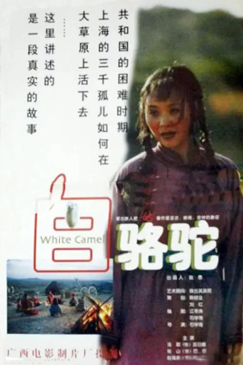 帖子封面