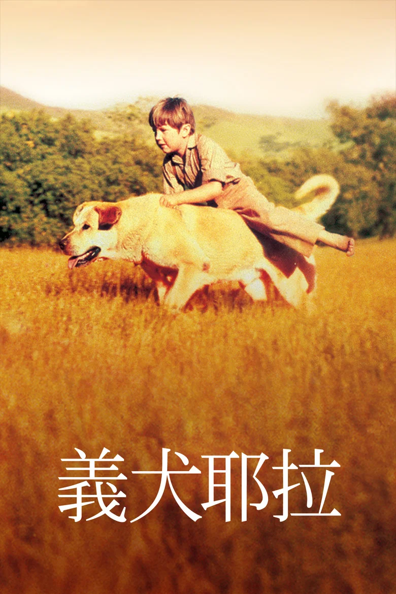 帖子封面