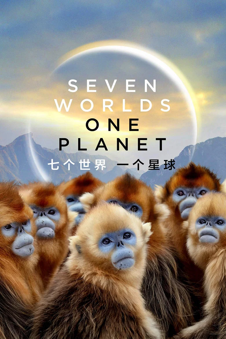帖子封面