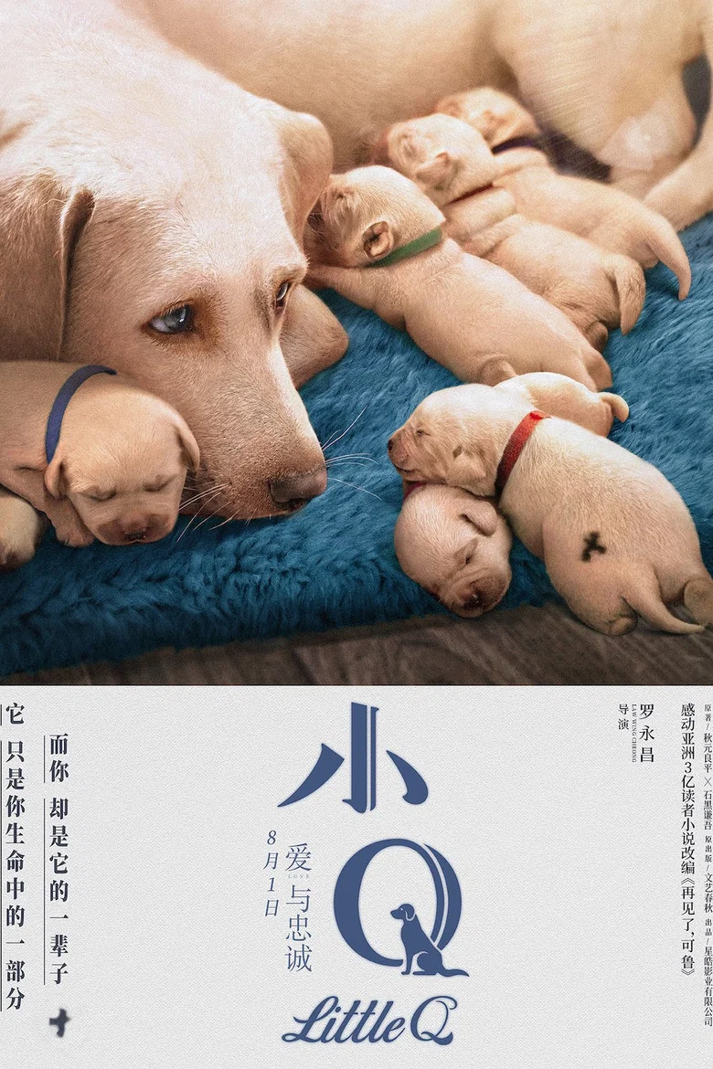 帖子封面