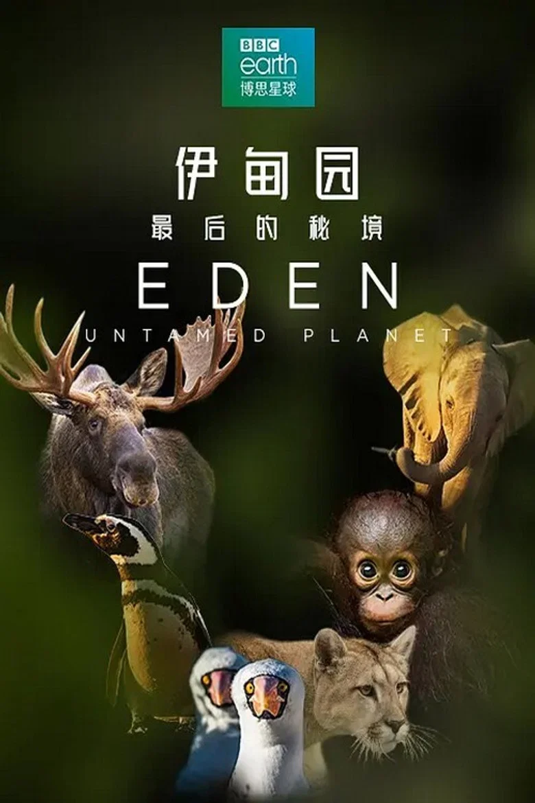帖子封面