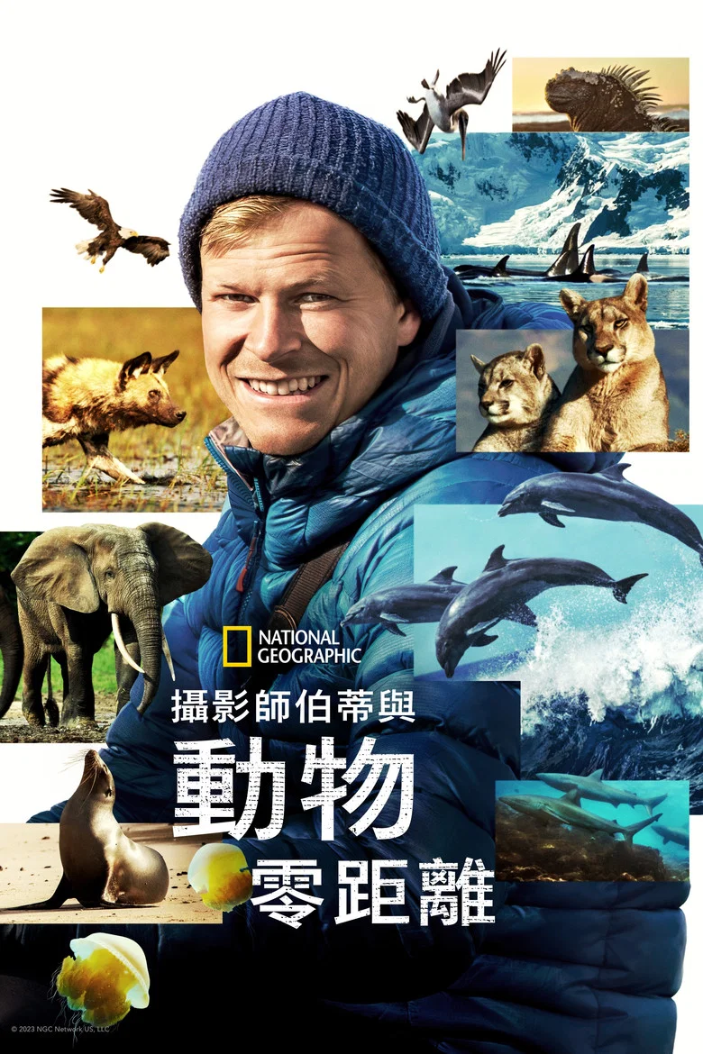 帖子封面