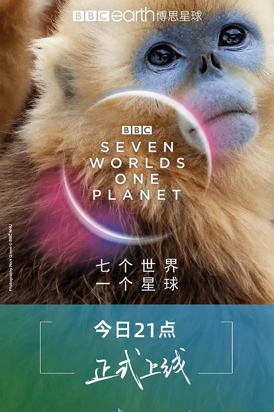 帖子封面