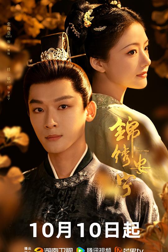 锦绣安宁 (2024)