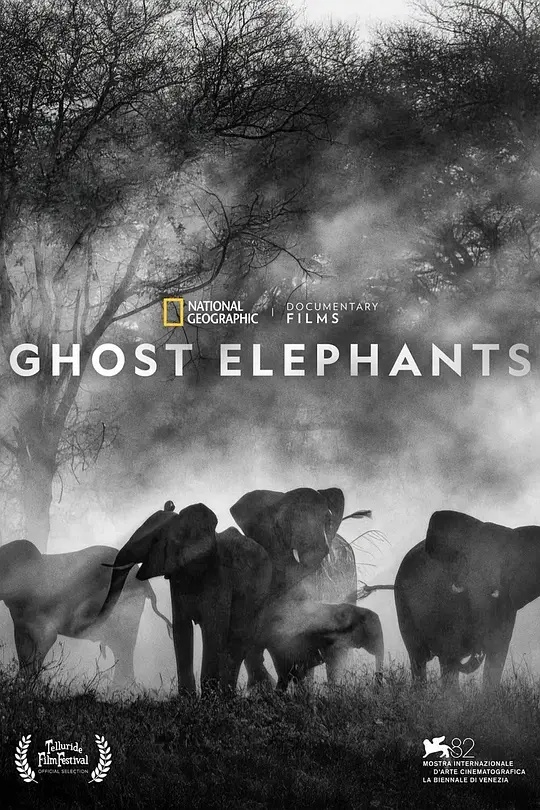 追寻幽灵大象 (2025) (Ghost Elephants)-光鸭·臻影社