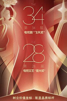 第34届飞天奖