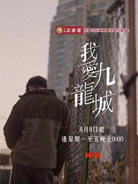 我爱九龙城国语