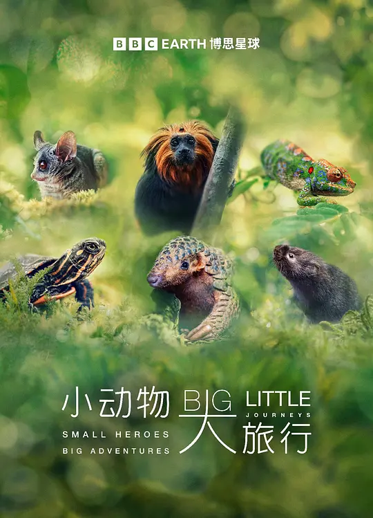 帖子封面