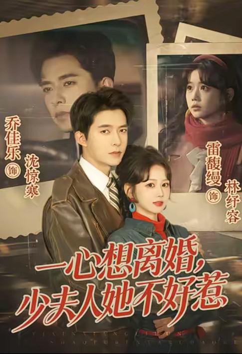 一心想离婚，少夫人她不好惹 (2026)
