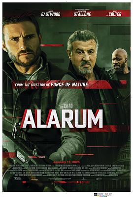 警报战 Alarum‎ (2025)