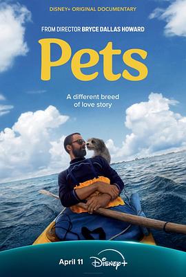 爱宠情缘 Pets‎ (2025)