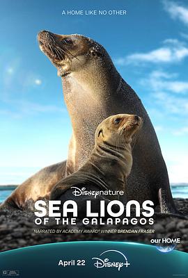 海狮利奥环岛记 Sea Lions of the Galápagos‎ (2025)