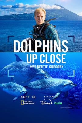 摄影师贝尔蒂与海豚零距离 Dolphins Up Close with Bertie Gregory‎ (2025)