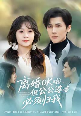 离婚OK啦，但公公婆婆必须归我 (2025)