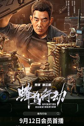 蜂鸟行动封面图