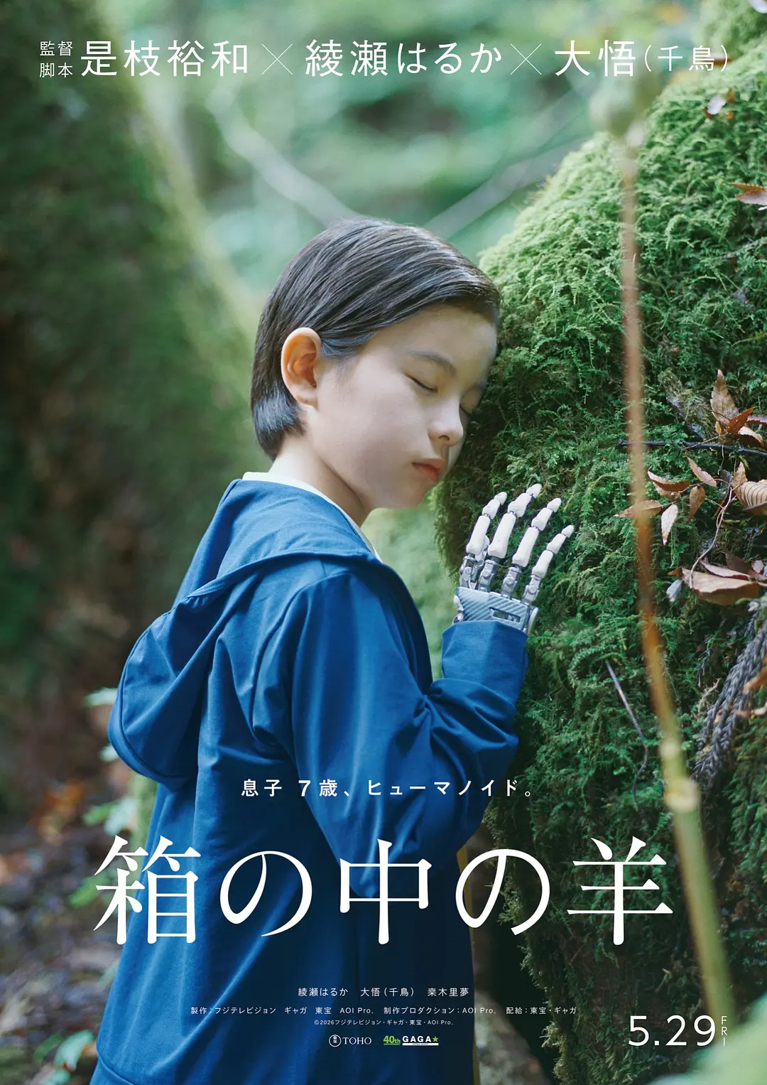 盒子里的羊 海报