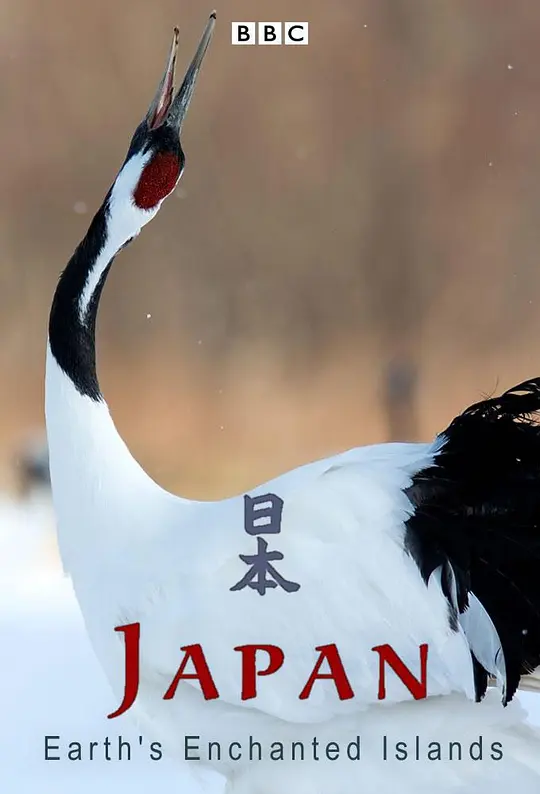 帖子封面